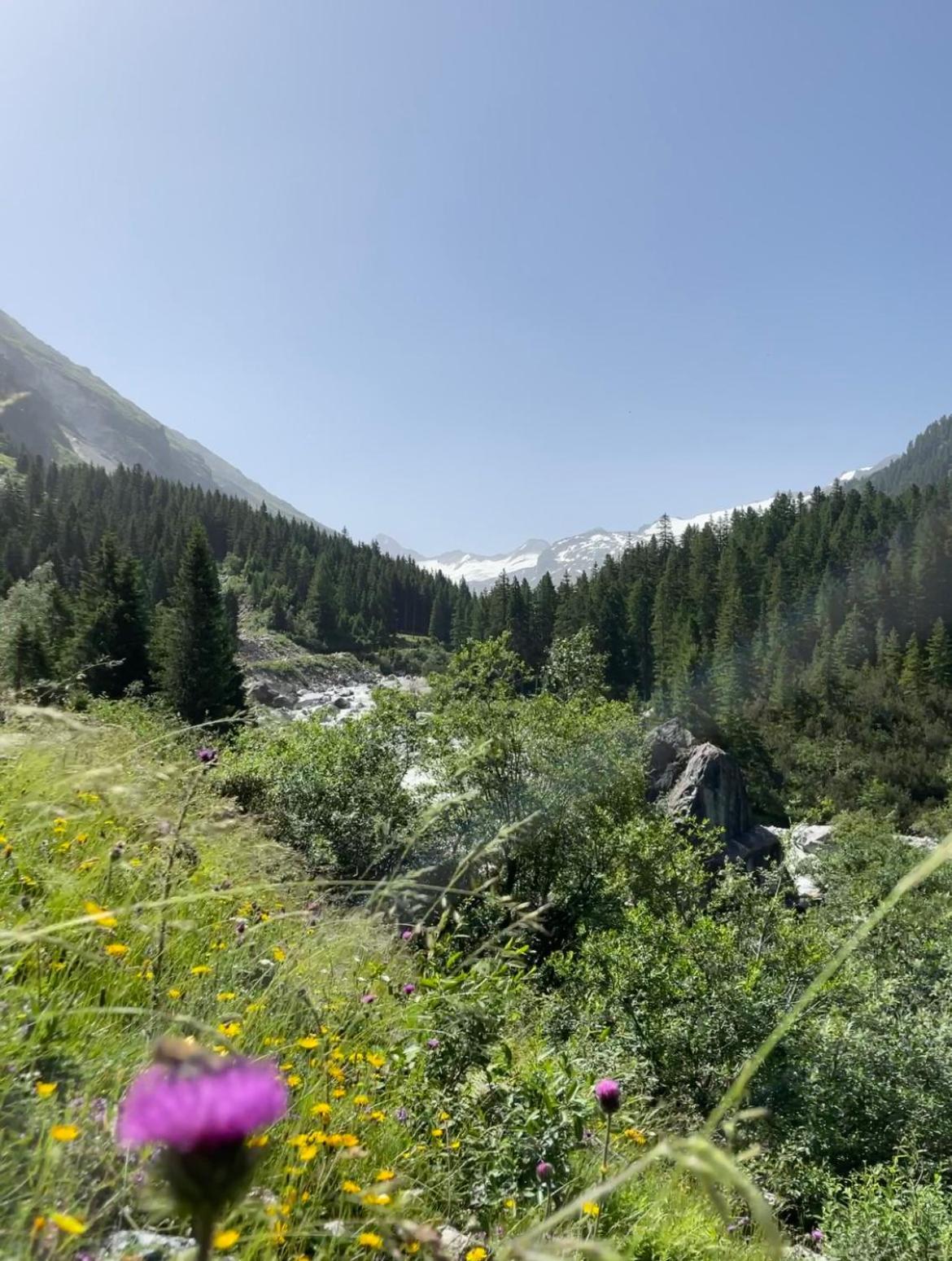 Hotel Gasthof Siggen Neukirchen am Großvenediger المظهر الخارجي الصورة